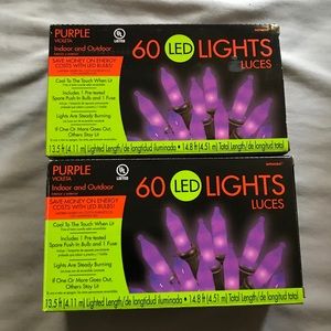 Purple Halloween Lights